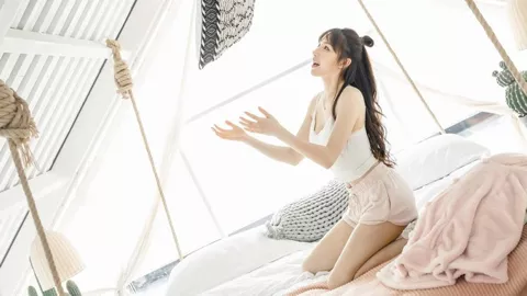 东北燕子滞留未南飞